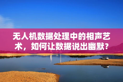 无人机数据处理中的相声艺术，如何让数据说出幽默？