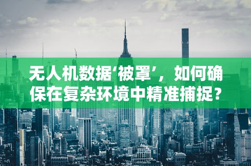 无人机数据‘被罩’，如何确保在复杂环境中精准捕捉？