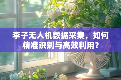 李子无人机数据采集，如何精准识别与高效利用？