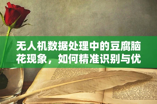 无人机数据处理中的豆腐脑花现象，如何精准识别与优化？