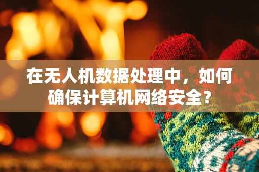 在无人机数据处理中，如何确保计算机网络安全？