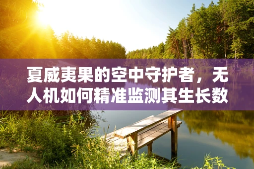 夏威夷果的空中守护者，无人机如何精准监测其生长数据？