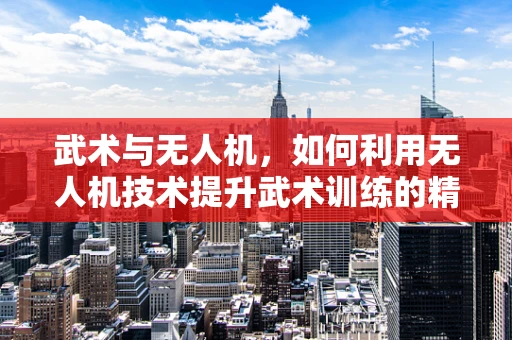 武术与无人机，如何利用无人机技术提升武术训练的精准度与效率？