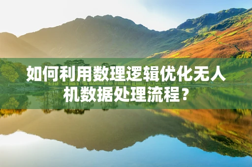 如何利用数理逻辑优化无人机数据处理流程？