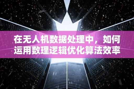 在无人机数据处理中，如何运用数理逻辑优化算法效率？