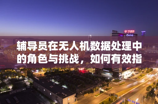 辅导员在无人机数据处理中的角色与挑战，如何有效指导团队？