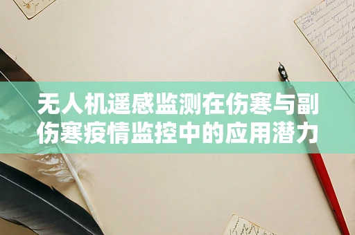 无人机遥感监测在伤寒与副伤寒疫情监控中的应用潜力探讨