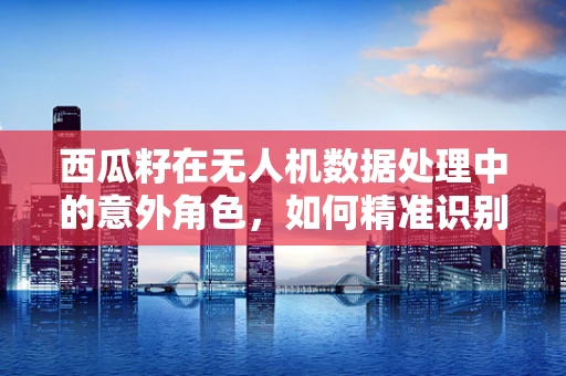 西瓜籽在无人机数据处理中的意外角色，如何精准识别与利用？