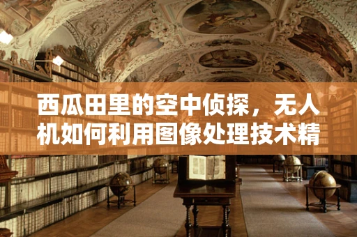西瓜田里的空中侦探，无人机如何利用图像处理技术精准识别成熟西瓜？