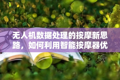 无人机数据处理的按摩新思路，如何利用智能按摩器优化飞行性能？