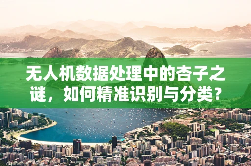 无人机数据处理中的杏子之谜，如何精准识别与分类？