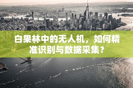 白果林中的无人机，如何精准识别与数据采集？