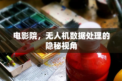电影院，无人机数据处理的隐秘视角