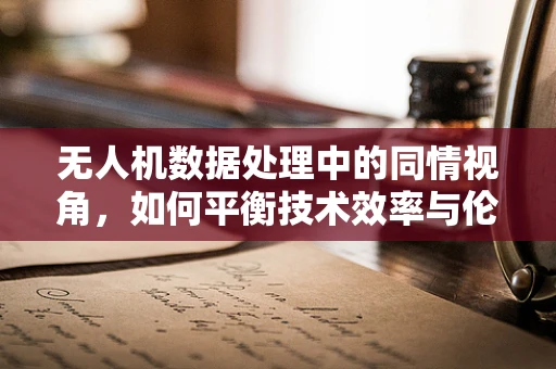 无人机数据处理中的同情视角，如何平衡技术效率与伦理考量？