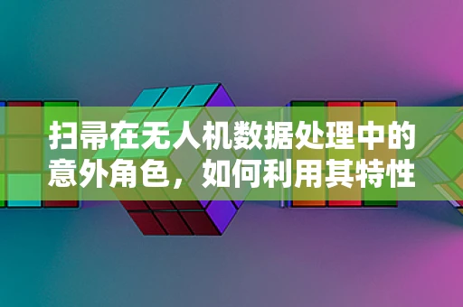 扫帚在无人机数据处理中的意外角色，如何利用其特性优化图像处理？
