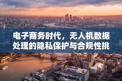电子商务时代，无人机数据处理的隐私保护与合规性挑战