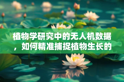 植物学研究中的无人机数据，如何精准捕捉植物生长的‘脉搏’？