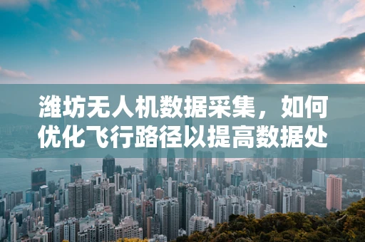 潍坊无人机数据采集，如何优化飞行路径以提高数据处理效率？