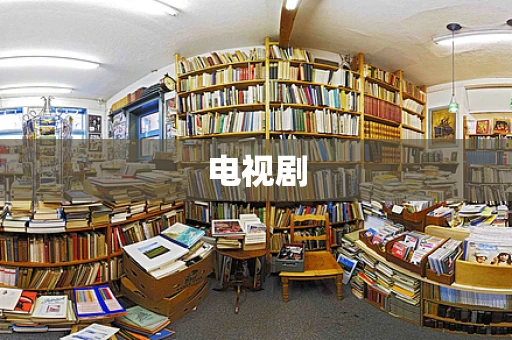 电视剧