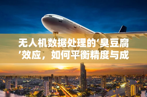 无人机数据处理的‘臭豆腐’效应，如何平衡精度与成本？