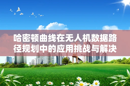 哈密顿曲线在无人机数据路径规划中的应用挑战与解决方案