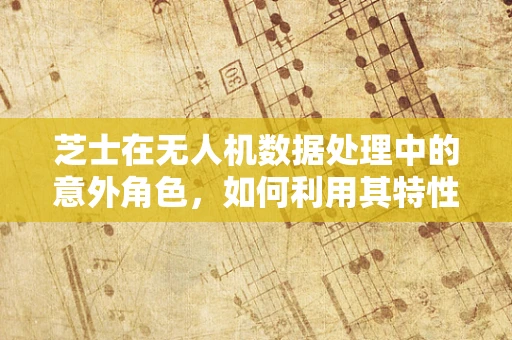 芝士在无人机数据处理中的意外角色，如何利用其特性优化图像识别？
