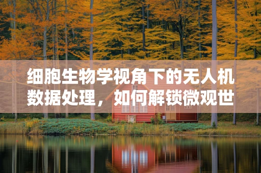 细胞生物学视角下的无人机数据处理，如何解锁微观世界的秘密？