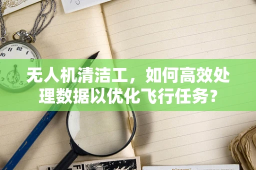 无人机清洁工，如何高效处理数据以优化飞行任务？