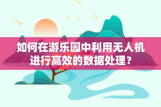 如何在游乐园中利用无人机进行高效的数据处理？