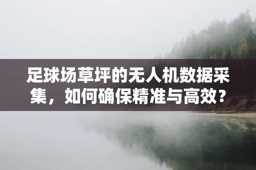 足球场草坪的无人机数据采集，如何确保精准与高效？
