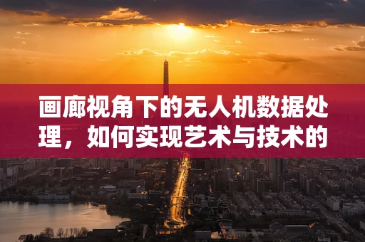 画廊视角下的无人机数据处理，如何实现艺术与技术的完美融合？