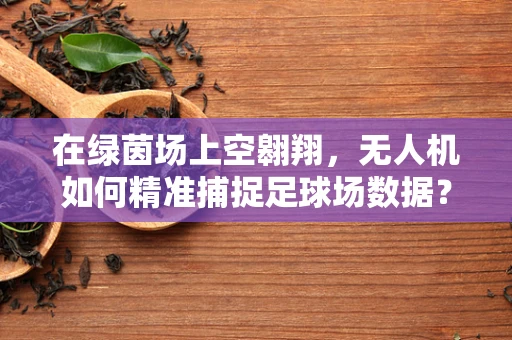 在绿茵场上空翱翔，无人机如何精准捕捉足球场数据？