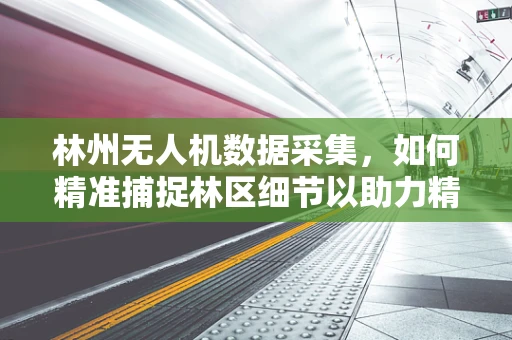 林州无人机数据采集，如何精准捕捉林区细节以助力精准管理？