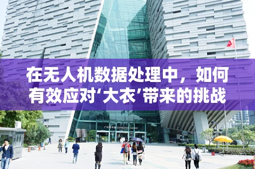 在无人机数据处理中，如何有效应对‘大衣’带来的挑战？