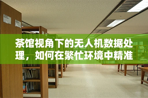 茶馆视角下的无人机数据处理，如何在繁忙环境中精准捕捉信息？