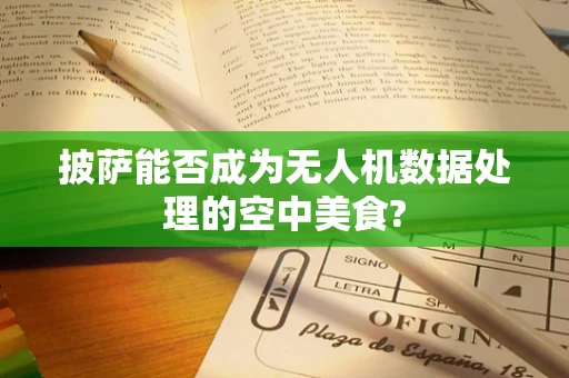 披萨能否成为无人机数据处理的空中美食?