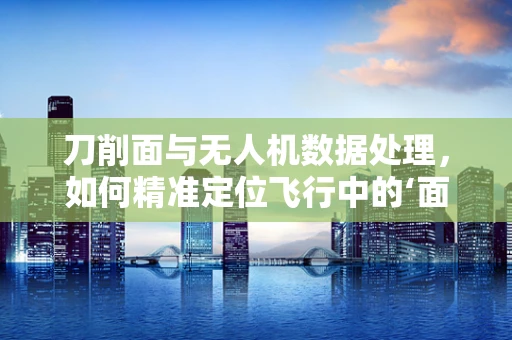 刀削面与无人机数据处理，如何精准定位飞行中的‘面条’？