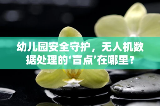 幼儿园安全守护，无人机数据处理的‘盲点’在哪里？