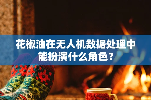 花椒油在无人机数据处理中能扮演什么角色？