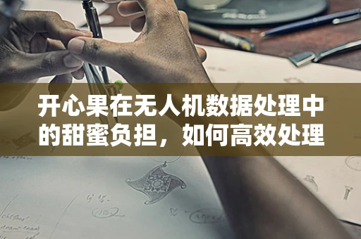 开心果在无人机数据处理中的甜蜜负担，如何高效处理其产生的海量数据？