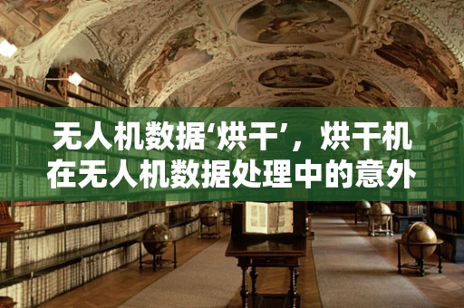 无人机数据‘烘干’，烘干机在无人机数据处理中的意外角色？