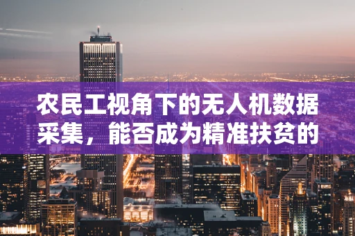 农民工视角下的无人机数据采集，能否成为精准扶贫的‘空中之眼’？