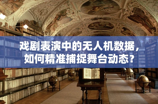 戏剧表演中的无人机数据，如何精准捕捉舞台动态？