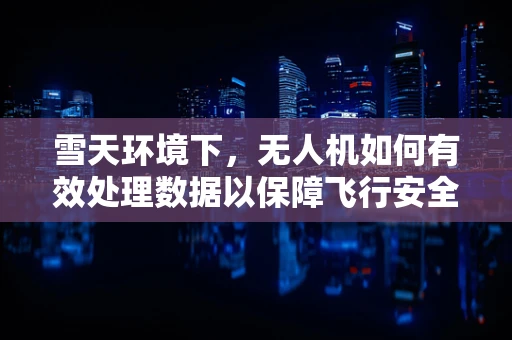 雪天环境下，无人机如何有效处理数据以保障飞行安全？