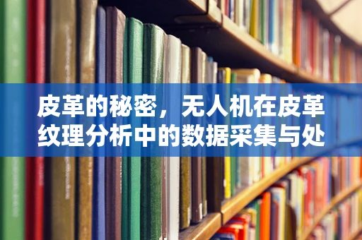 皮革的秘密，无人机在皮革纹理分析中的数据采集与处理挑战