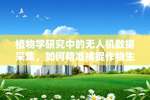 植物学研究中的无人机数据采集，如何精准捕捉作物生长的脉动？