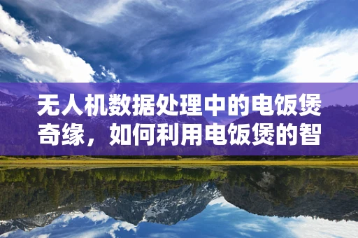 无人机数据处理中的电饭煲奇缘，如何利用电饭煲的智能温控技术优化无人机载荷？