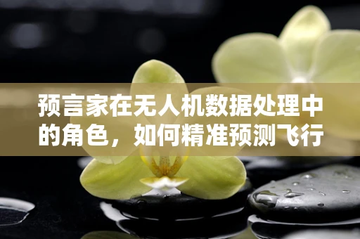 预言家在无人机数据处理中的角色，如何精准预测飞行数据异常？