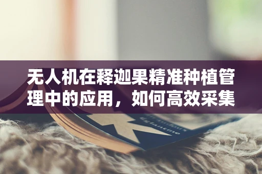 无人机在释迦果精准种植管理中的应用，如何高效采集作物生长数据？