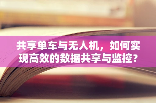 共享单车与无人机，如何实现高效的数据共享与监控？